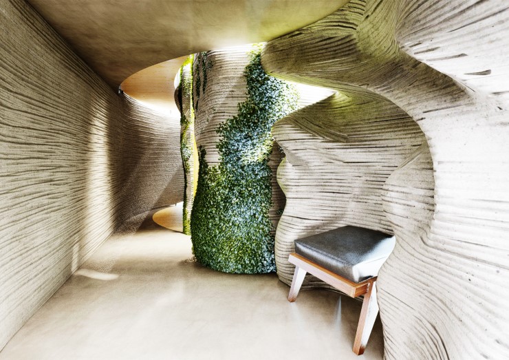 rhizoid - vizualizace 2